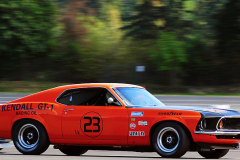 Ford Mustang (Race)